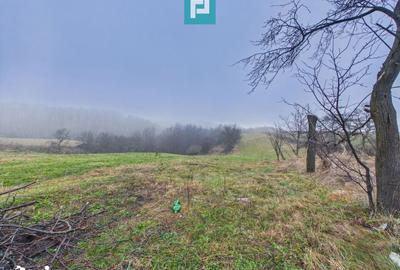 Casă cu 3 camere cu Teren 5000 Mp în Sânmartin - 9