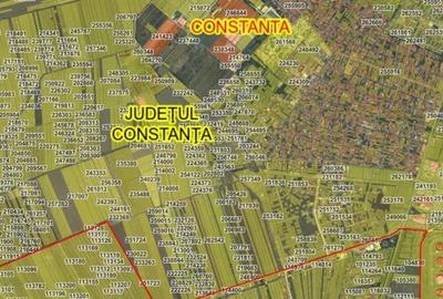 Teren de 18000 mp, în Viile Noi - 2