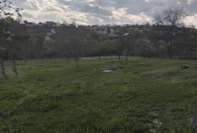 Casă cu Teren 6000 Mp în Poiana - 2