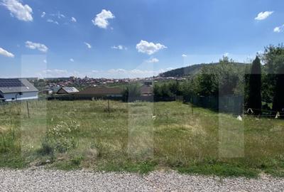 Teren intravilan de vanzare, 611 mp Strada Borviz