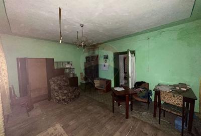 GOSPODARIE VECHE cu 30 arii TEREN- SE VINDE - 6