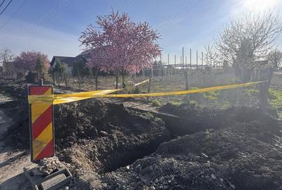 Teren de 750 mp, în Becicherecu Mic - 3