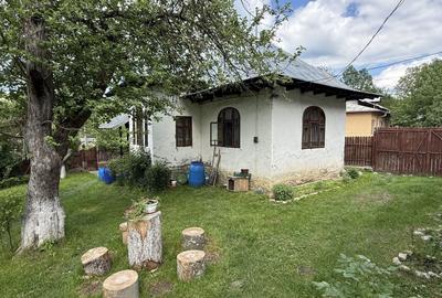 Casă individuală cu 4 camere cu Canalizare în Provița de Sus - 25