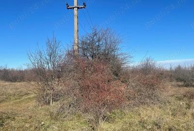 Teren de 5300 mp, în Merișani - 4