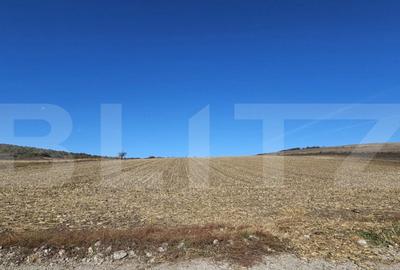 Teren extravilan, 17.000 mp, zona Almasu Mic - 1