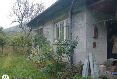 Baia Mare, casa solida in stare buna,cu 11 ari teren Baia Mare, casa solida in stare buna,cu 11 ari teren - 3