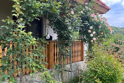 Casă cu 4 camere în Făget - 2