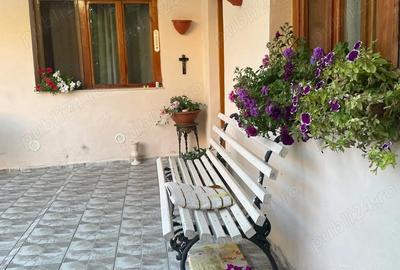 Merita vizionata - casa la munte, loc. Nadrag - 8