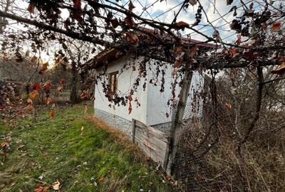 Casă individuală cu 1 camere cu Teren 1341 Mp în Strâmba-Jiu - 7