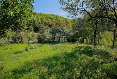 De vanzare Casa de Vacanta cu 3 camere, teren 1146 mp, Budureasa - 5
