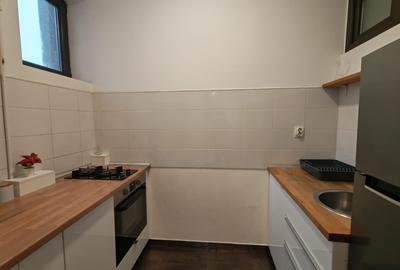 Romana - Magheru apartament spatios renovat si mobilat complet - 6