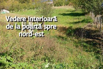 Teren de 2310 mp, în Central - 7