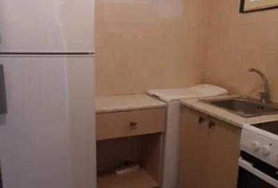 Apartament cu 2 camere semidecomandat, mobilat în P-ța Romană - 6