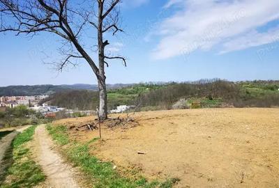 Parcele intravilan cu extravilan Calea Caransebesului km 2 loturi de 1000 mp negociabil - 2