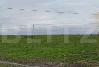 Teren Construcții intravilan de 16000 mp, în Exterior Sud - 1