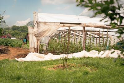 Teren agricol intravilan de 7603 mp, în Delenii - 6