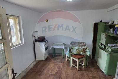 Casa si teren de 1195mp in Tinca - 9