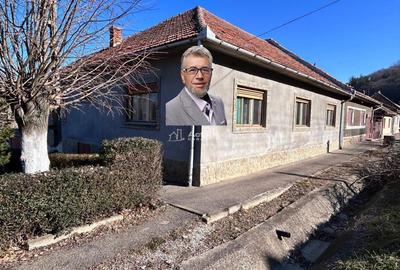 Casă cu 10 camere cu Teren 250 Mp în Bocșa - 13