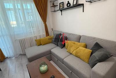 Apartament cu 2 camere decomandat, mobilat în Dristor - 12