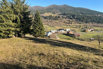 Spațiu comercial, în Vama