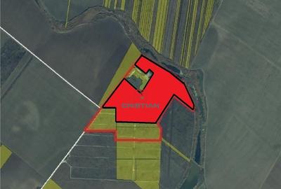 Teren intravilan Popesti Leordeni - DN4 - Glina, Ilfov - 2