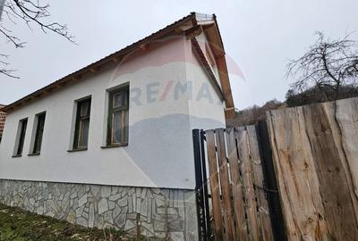 CASA 3 CAMERE SINCA NOUA / 5650 mp teren - 4