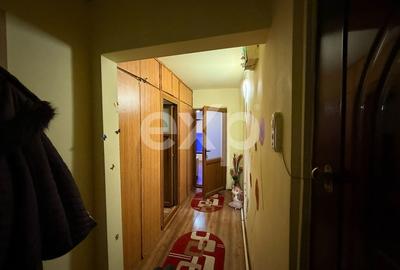 Apartament cu 2 camere semidecomandat, mobilat în Banat - 6