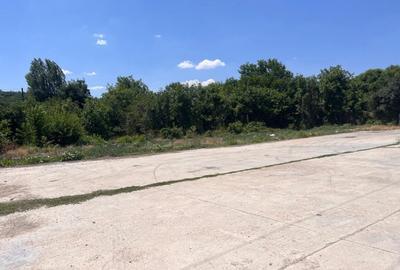 Investitie de viitor! Teren intravilan 8554 mp-Bucovat - 13