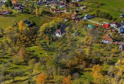 Pensiunea Scarisoara - Refugiul din Inima Rucarului | Comision 0% - 16