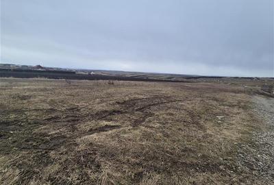 Teren agricol extravilan de 800 mp, în Moara Nica - 2