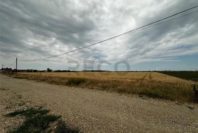 RECO Teren Extravilan(4500 MP) in Oradea - 1