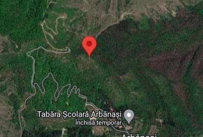 Teren de 660000 mp, în Beceni - 4