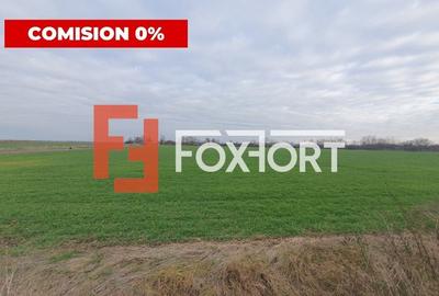 COMISION 0% Teren intravilan industrial 28.395 mp la sosea in Sag - 4