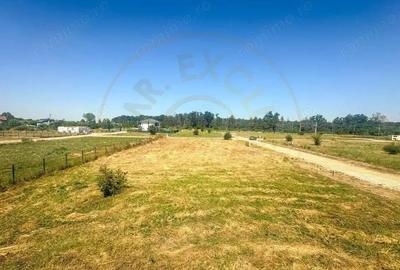 Teren cu dubla deschidere Eden Forest - 5