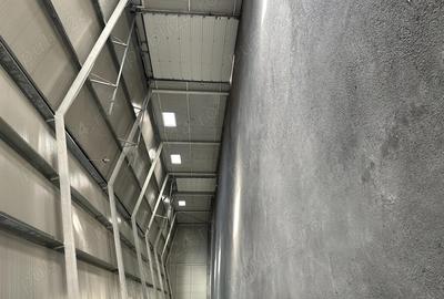 Inchiriere 2 HALE Pret Avantajos 3 euro - 1