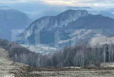 Teren de 5200 mp, în Ponor - 7