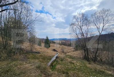 Teren în Scărișoara - 2