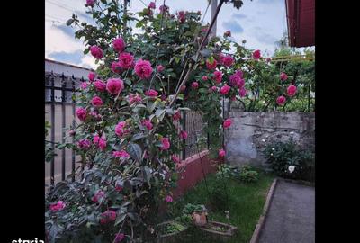 Casă cu 7 camere cu Teren 563 Mp în Exterior Vest - 7