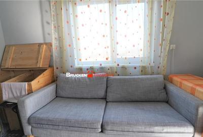 MICRO-FERMA CASA IN VOIVOZI - BIHOR - 31