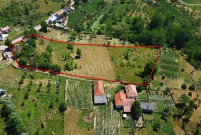 Teren de vanzare in comuna Cicane?ti, sat Bara?ti, jude? Arge?. - 14