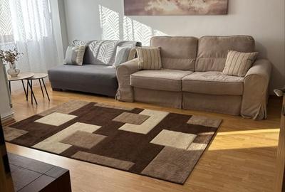 Apartament cu 2 camere decomandat, mobilat în Drumul Sării - 6