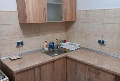 Apartament 3 camere, decomandat, vizavi de parcul Regina Maria - 9