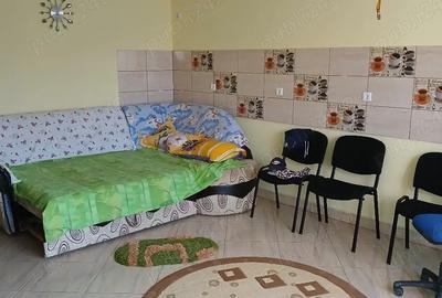 Casă cu Teren 1000 Mp în Câmpu Mare