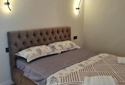 Apartament cu 2 camere de vanzare in zona Pantelimon - 1