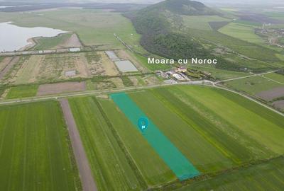 Teren extravilan de 22500mp Zona Ineu - 8