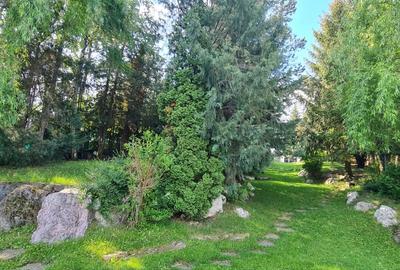 REV2003858 Vila exclusivista in Snagov la lac cu ponton - 36