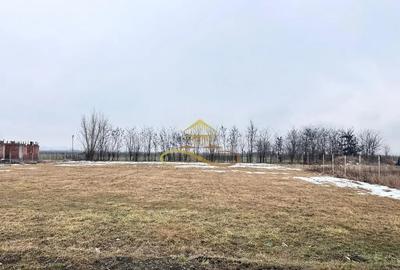 Teren în Săucești - 5