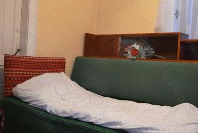 Casa de locuit situata in Comarnic - 7