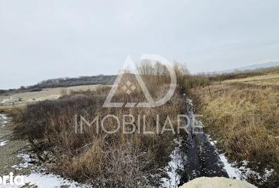 Teren de 1275 mp, în Turcinești - 6