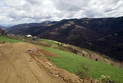 Teren de 5619 mp, în Măguri - 2